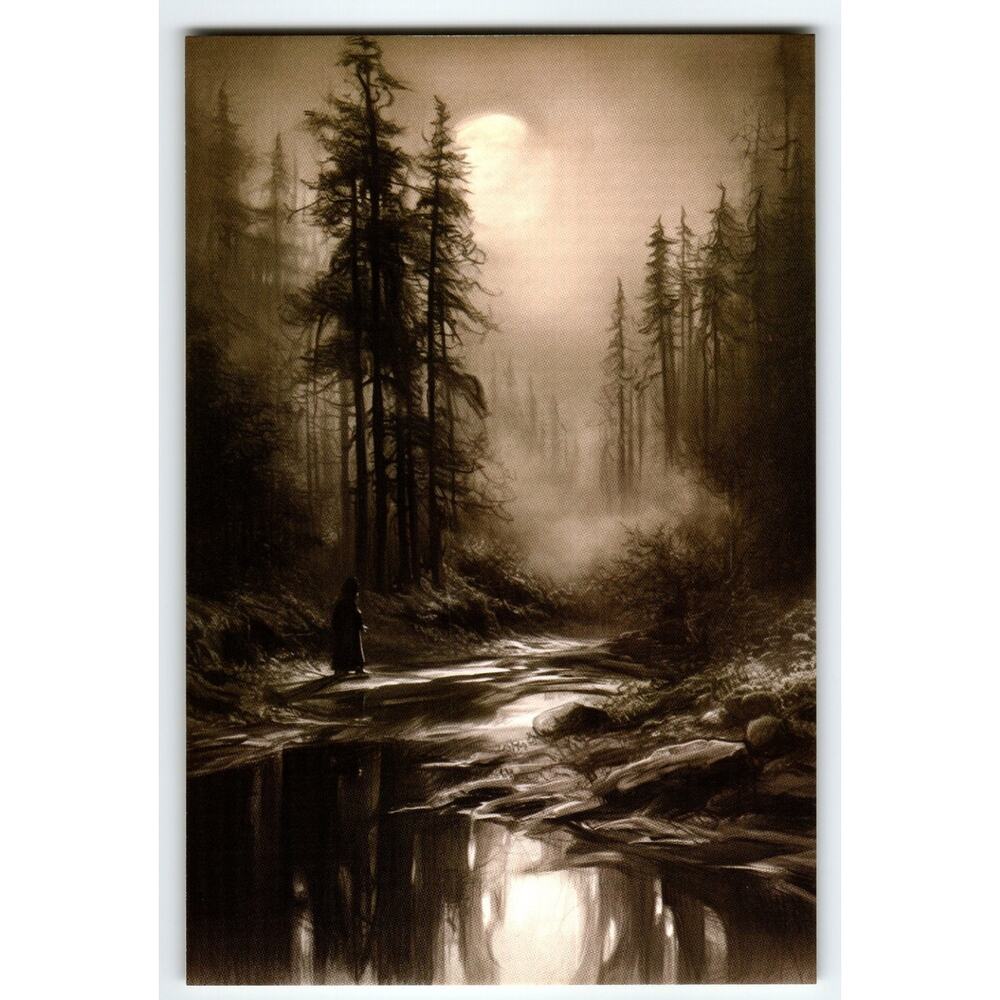 Vintage Photochrome Moonlit Forest River Scene Postcard 5.5x4"